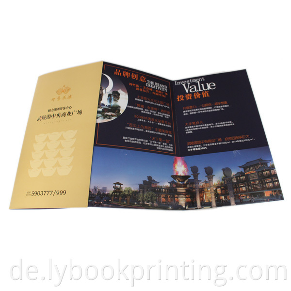 Akkordeonfalte Broschüre einzigartige Broschürenpapier Druckbehörde Akkordeonbuch